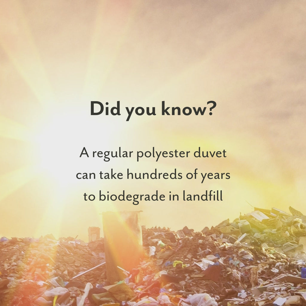 Return To Nature biodegradable Pillow